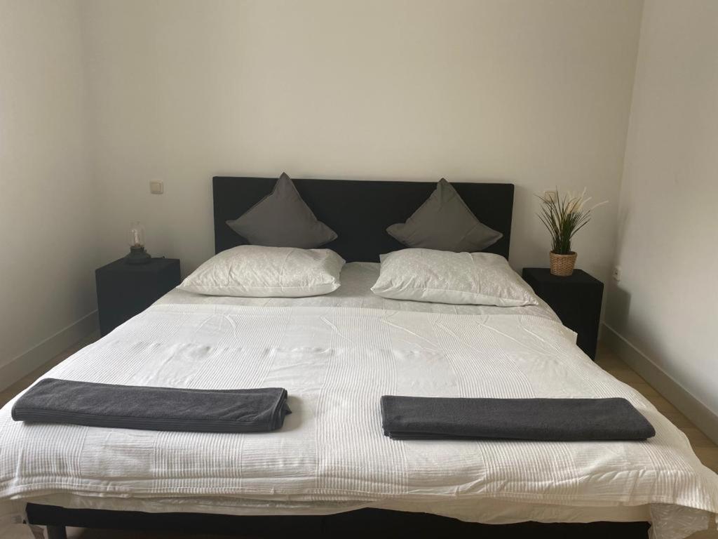 Green Stay Essen Luaran gambar